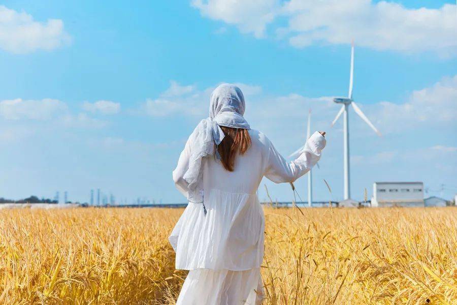 人怎么才能活得通透洒脱 c7610bd8b83c45fa9b4f70c5f1787377.jpeg