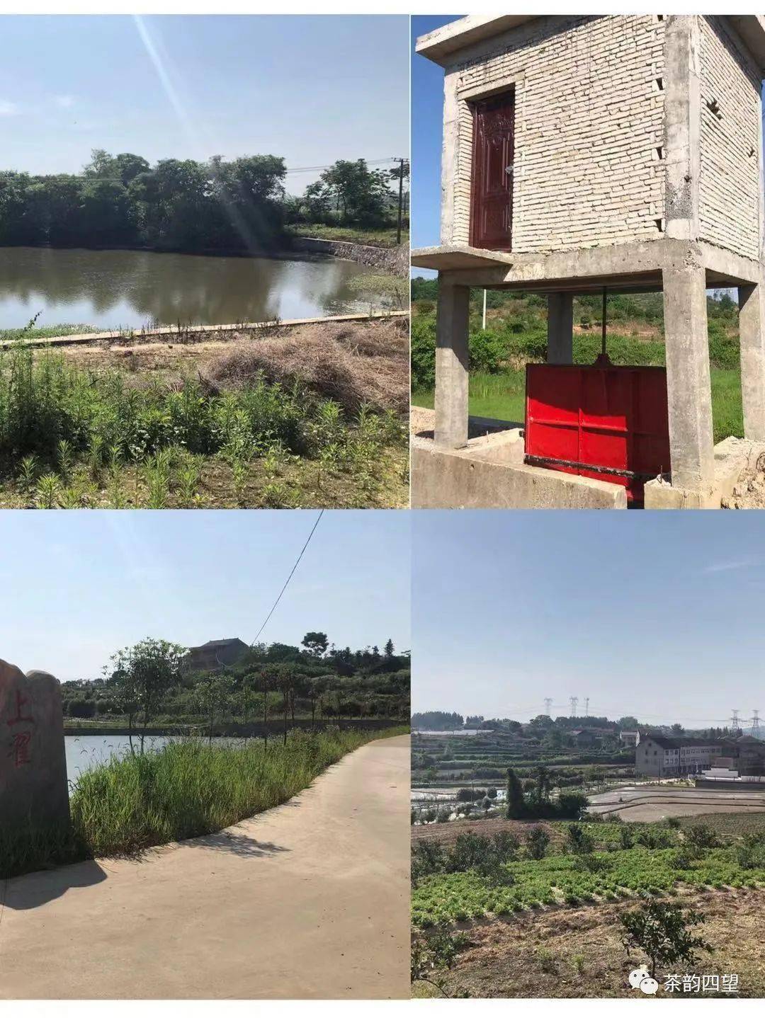 我为群众办实事四望镇落针八村巩固脱贫成果建设美丽乡村