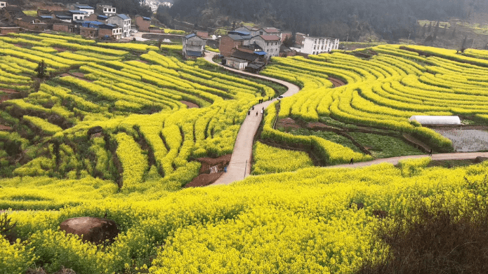 四川宜宾屏山县中都镇图片