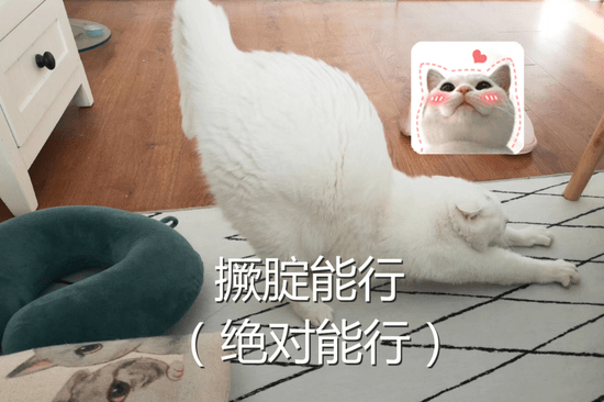 除了常规拜神操作以外,理科生拜李宗盛(理综胜),文科生拜余文乐(语文