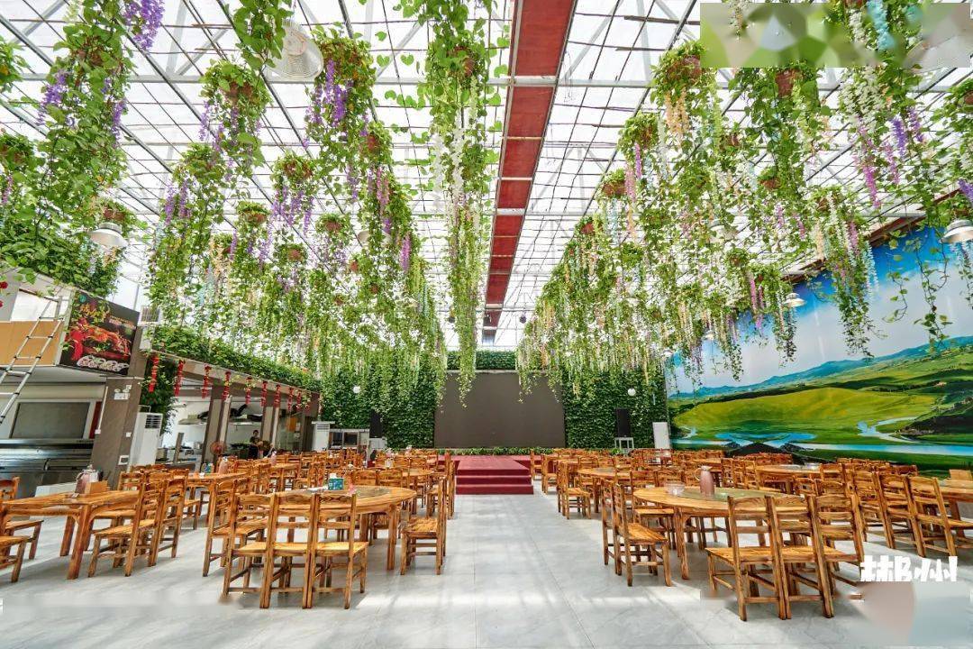 郴州这家1600㎡花园农场餐厅暗藏水帘洞月亮船西施煮泉水鸡