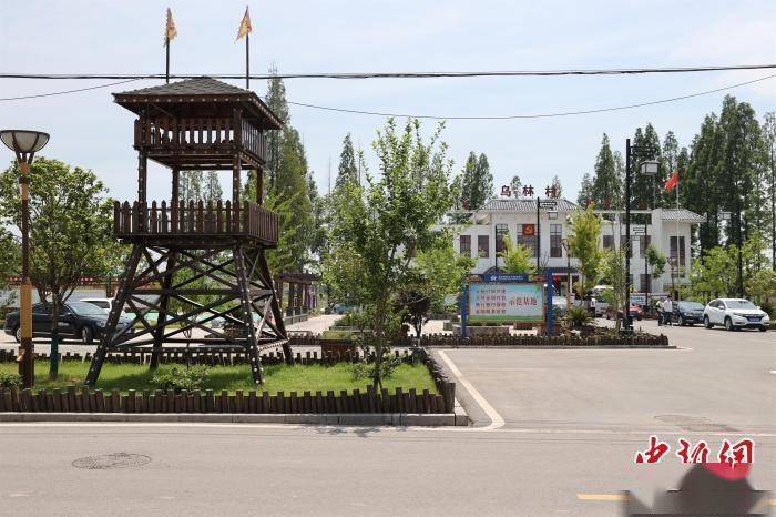 【网络媒体革命老区行】洪湖乌林镇展新貌:涨了"颜