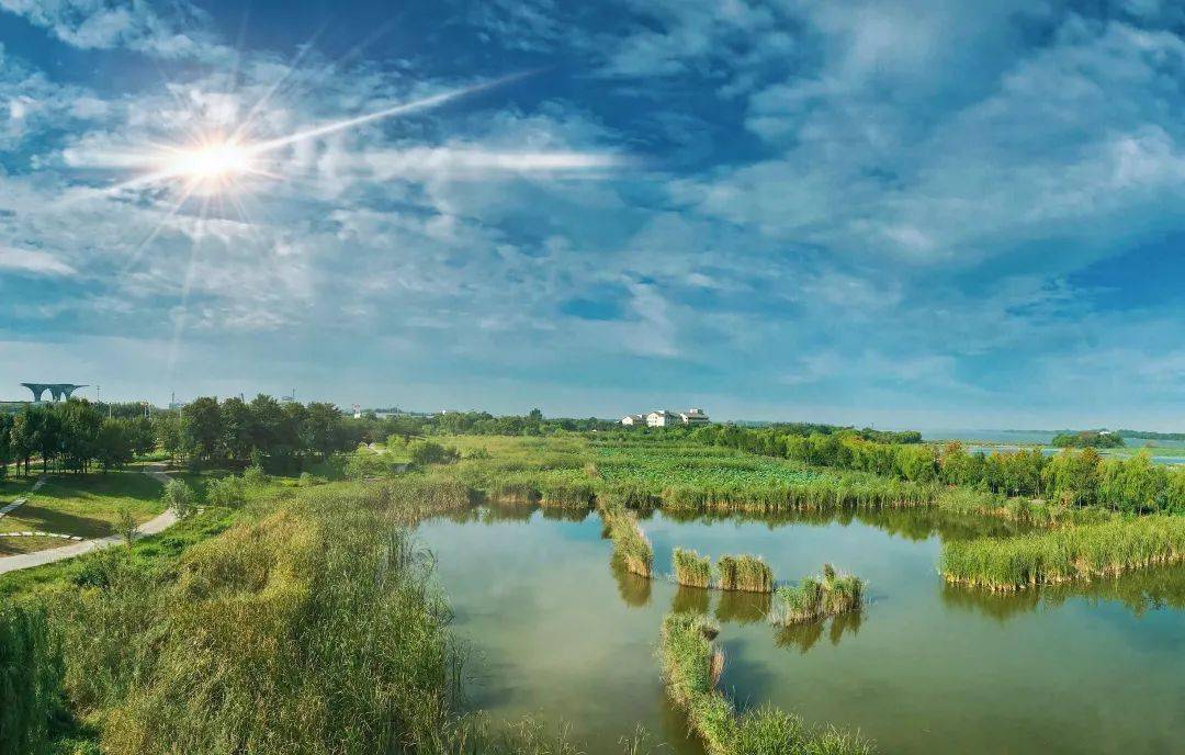 云赏蓝天丨快看,天蓝地绿水清的衡水!_生态