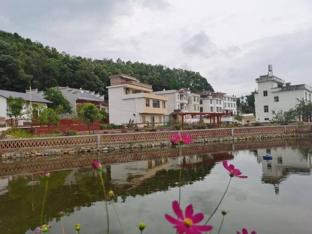 南康区加快推进乡村振兴提高人民群众幸福感