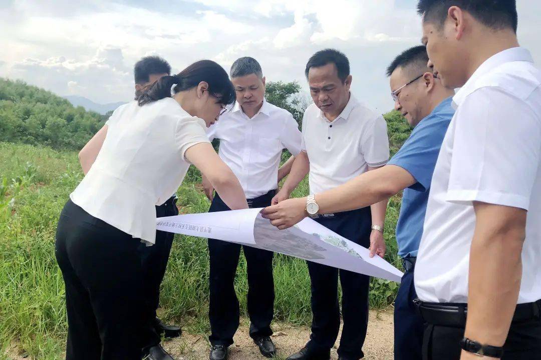 县领导到忠信,大湖镇检查指导不实补充耕地整改工作_林文泉