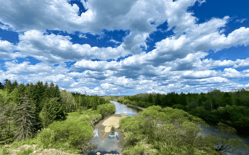 800_500gif 动态图 动图