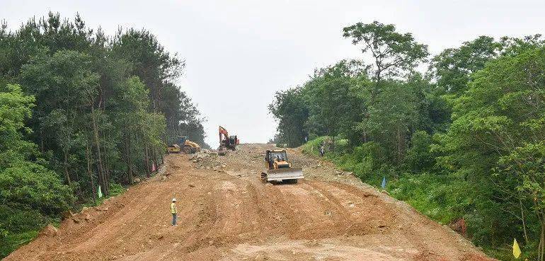 新洲区委书记赵利洪:要高标准建设五路八桥项目,助推乡村振兴