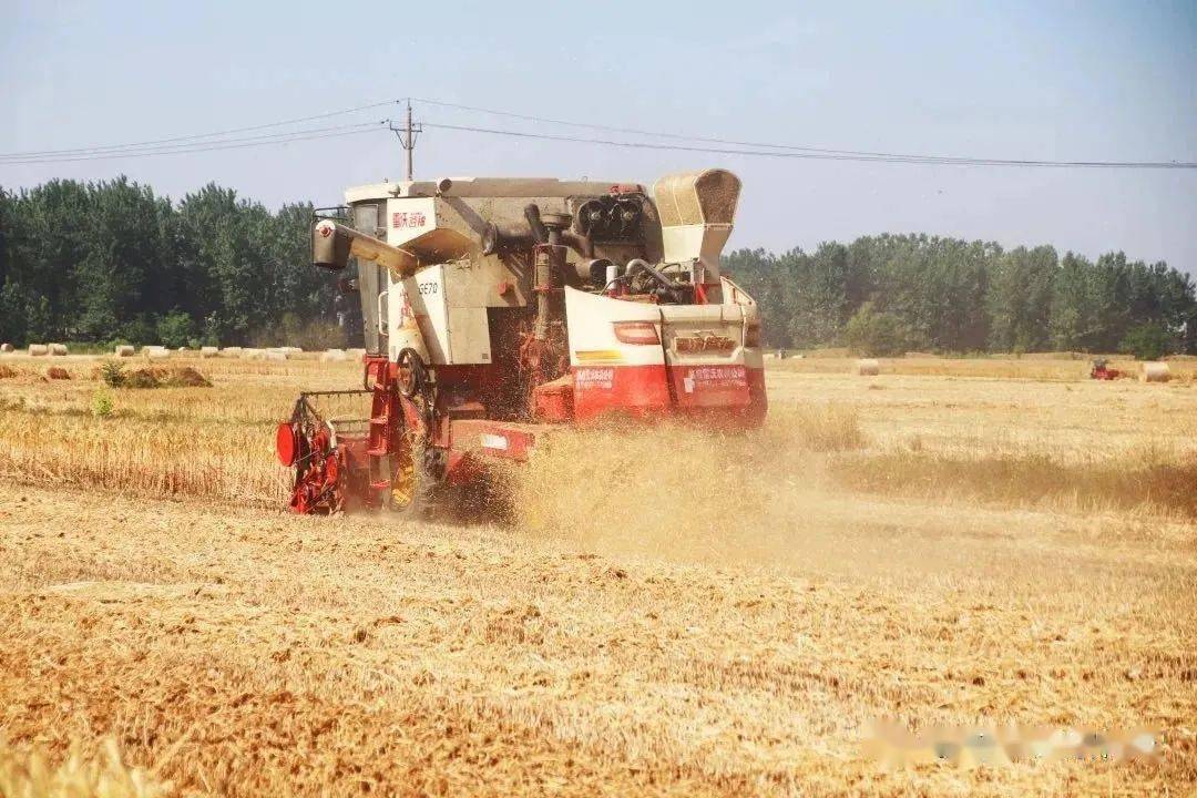 据柘城县农业农村局农情调度,截至6月10日12时,全县共计收获小麦91.