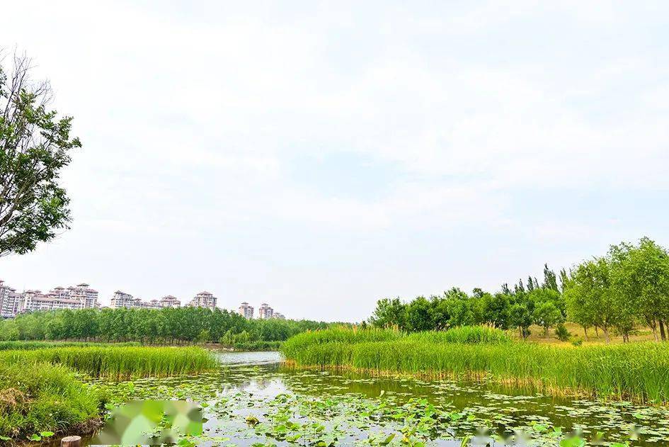 好一处江南水乡就在马家湾湿地公园别有景致