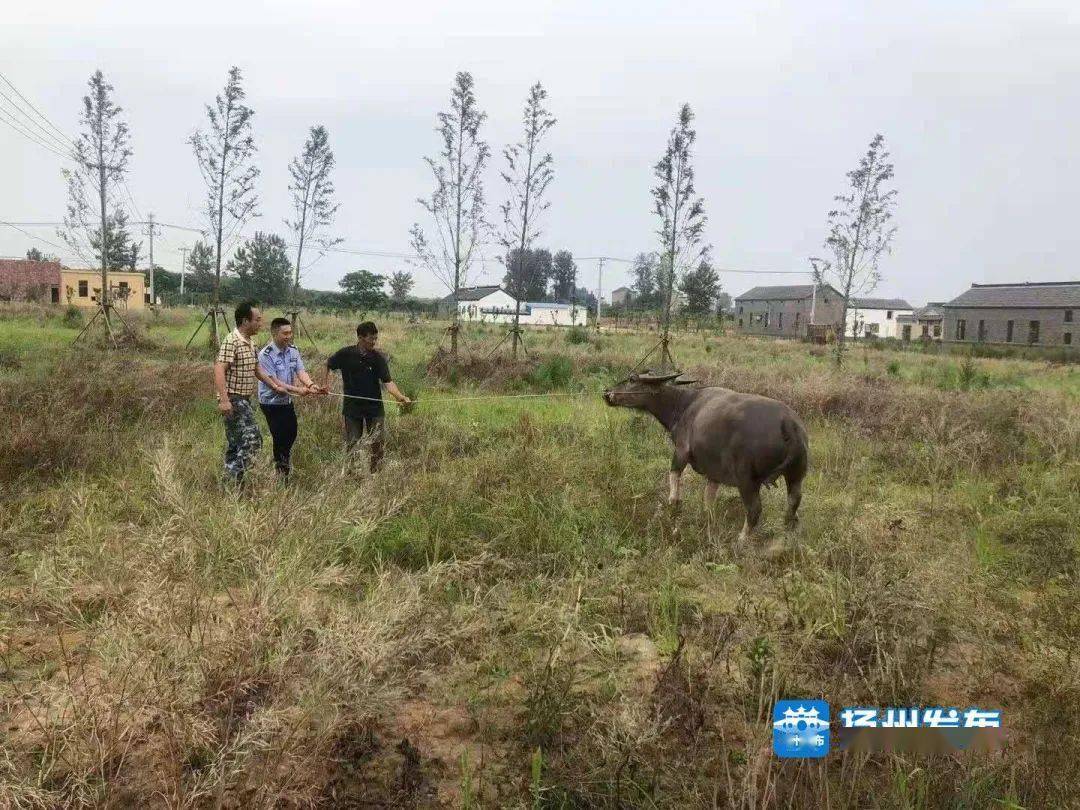 仲尼:高邮菱塘发生的!