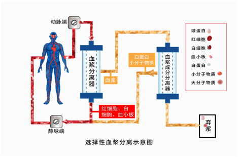 d5ee479f8c7841b69d09e110a3ef3a05.png