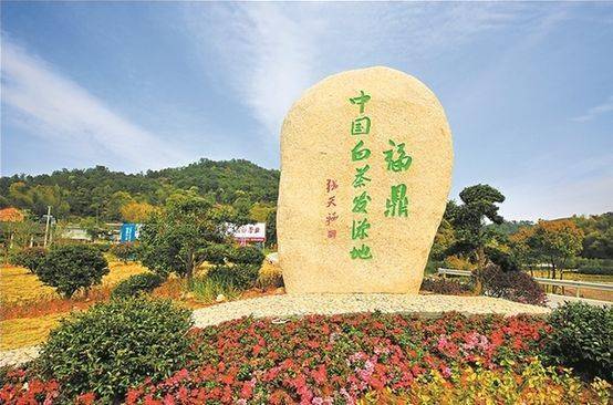 文章配图-6