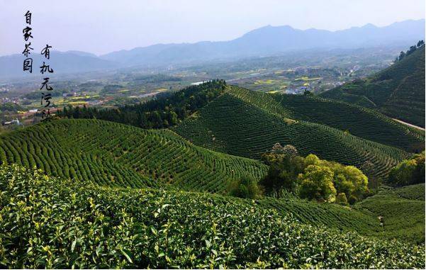 文章配图-9
