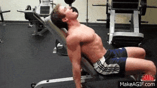 二头肌是哪个部 af36b60b58ca43f8ad6e56a3dcf5b728.gif