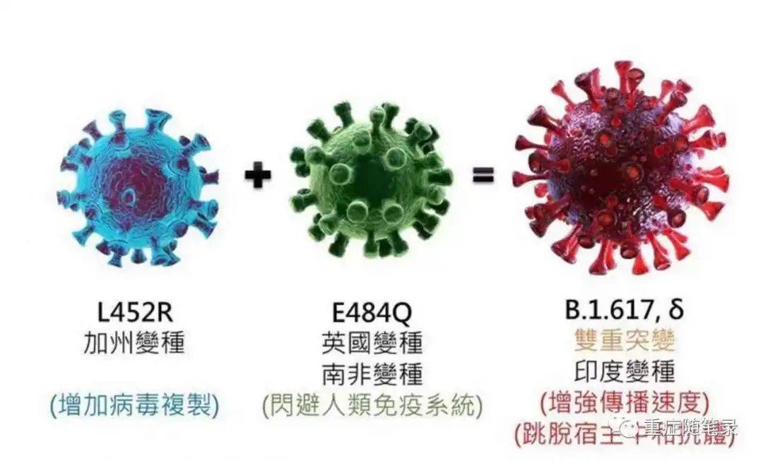 提高了1倍,也比英国首先发现的变异毒株的传播能力  提高了40%多