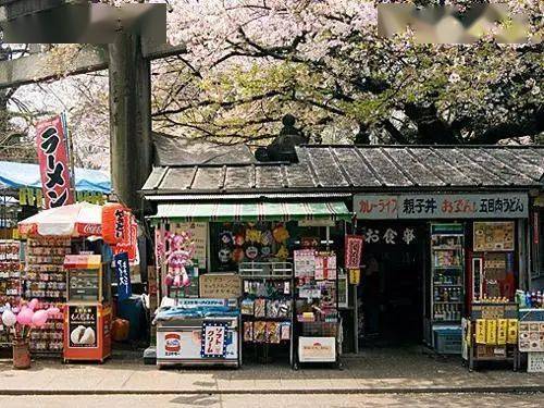 缤纷周日山茶文具店闪闪发光的信带给你见字如面的温柔