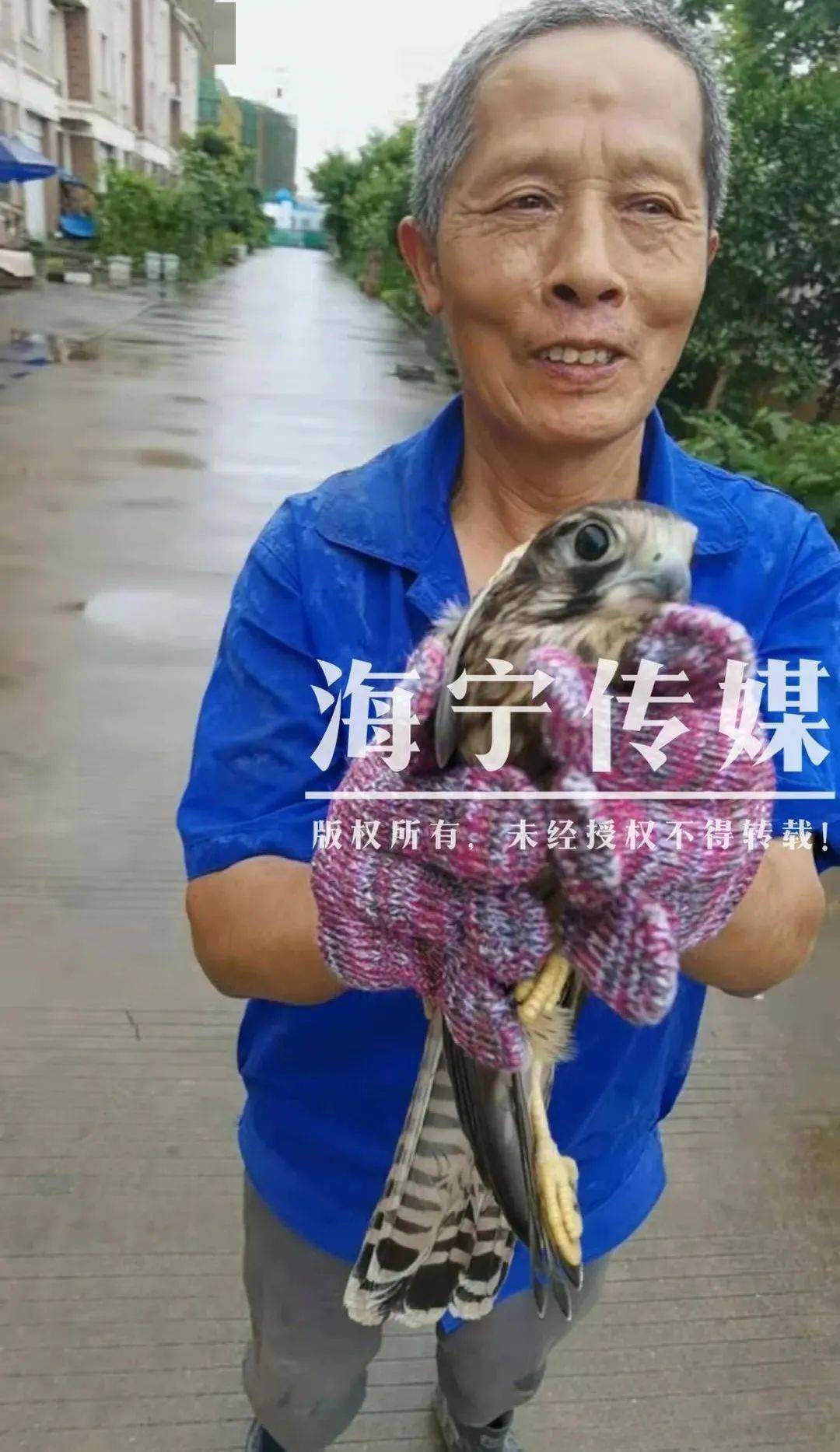 海宁男子在路边捡到一只"奇怪动物",一看竟然是