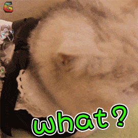 270_270gif 动态图 动图