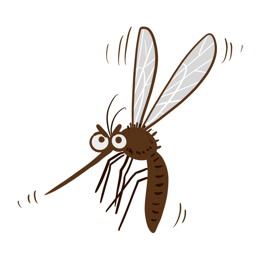 蚊子昆虫素材