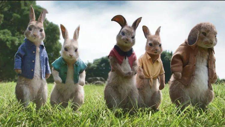 订座电话《比得兔2:逃跑计划》影片讲述了比伊,托马斯和兔子们组成了