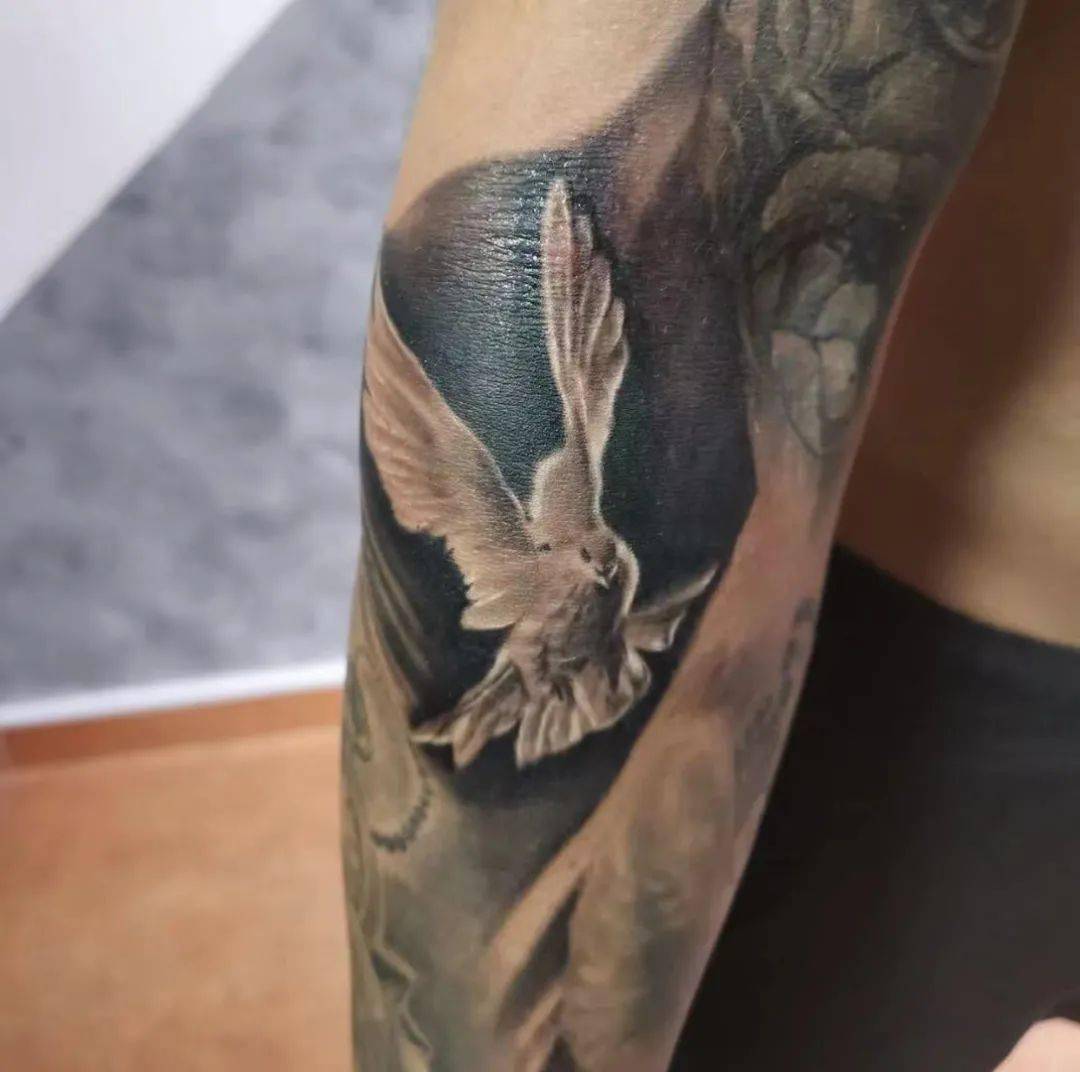 热门分享 西方文化的女妖纹身 留住我们的声音的留声机 无毛猫的可爱