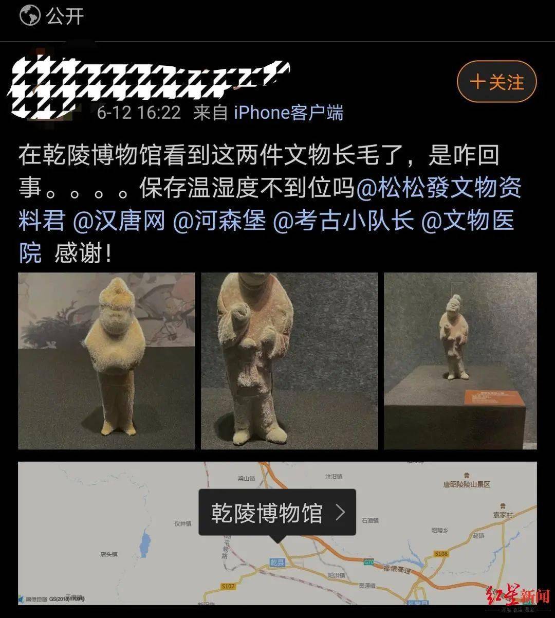 陕西一博物馆两件陶俑离奇“长毛” 网友拍下现场专家回应了!