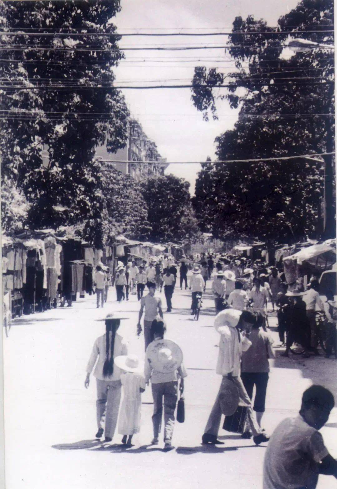 档案与你相伴这些知识点请get