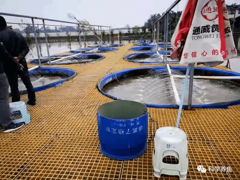 “圈养”模式|一亩圈养比传统养殖模式多带来1.24万元的效益_加州