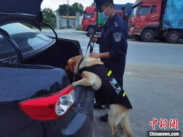 中緬邊境章鳳口岸:民警與警犬同守國門