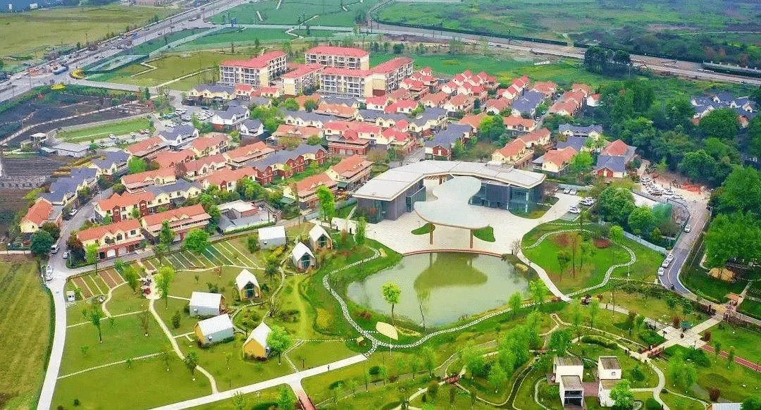 解码！12种模式让新津的你，生活更加幸福美好！_服务