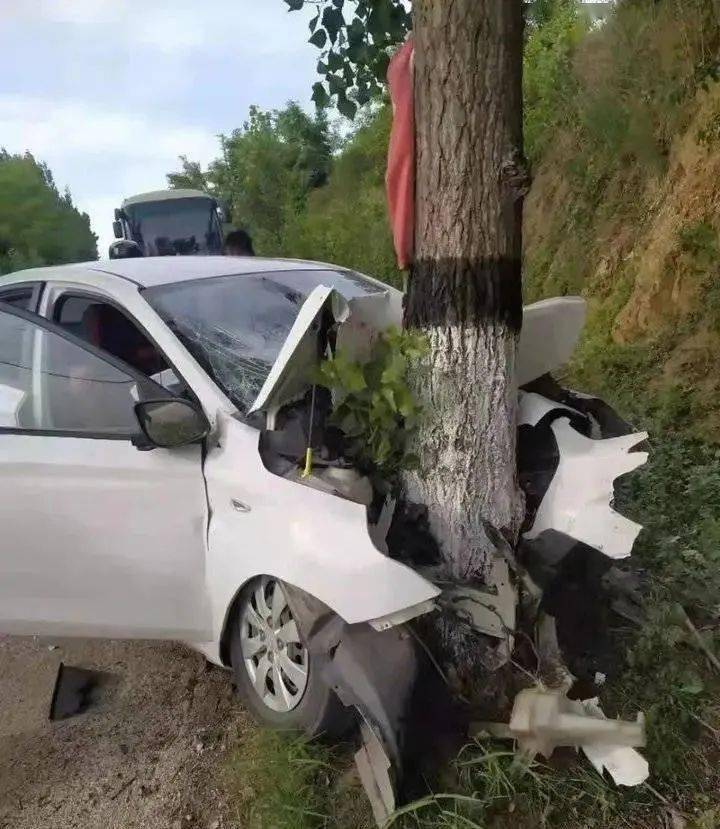 龙口惨烈车子撞树冒烟车头撞稀烂司机浑身是血昏迷不醒