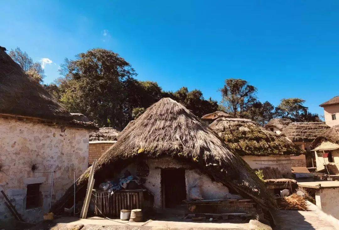 乡村纪行丨遇见阿者科_哈尼