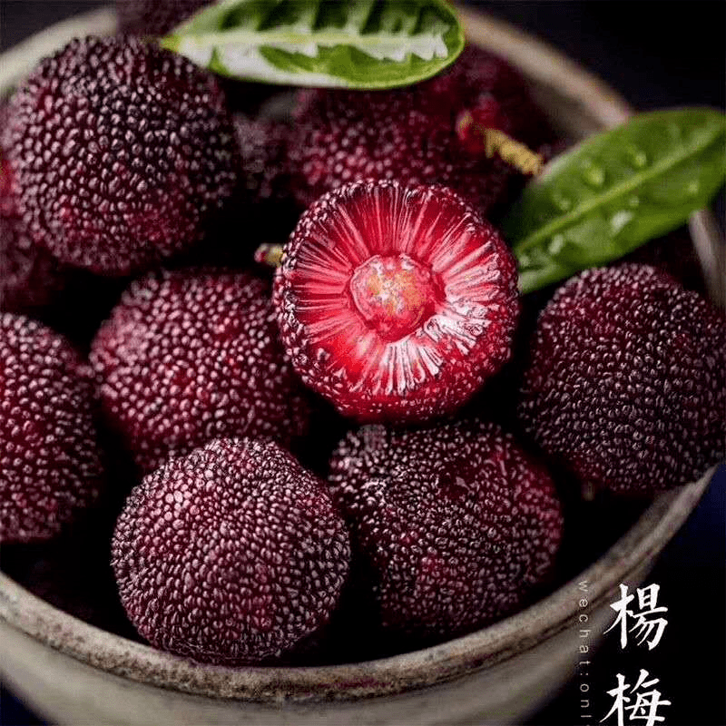 1年只卖10天东魁杨梅霸气回归梅中之王味临人间