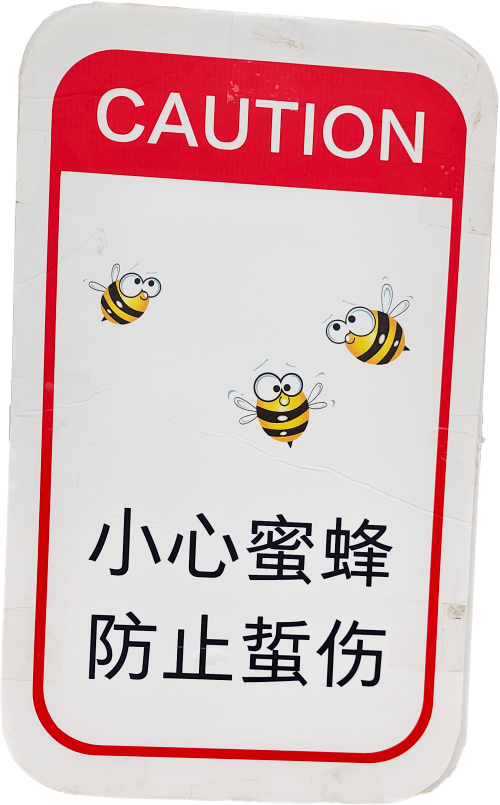 文章配图-86