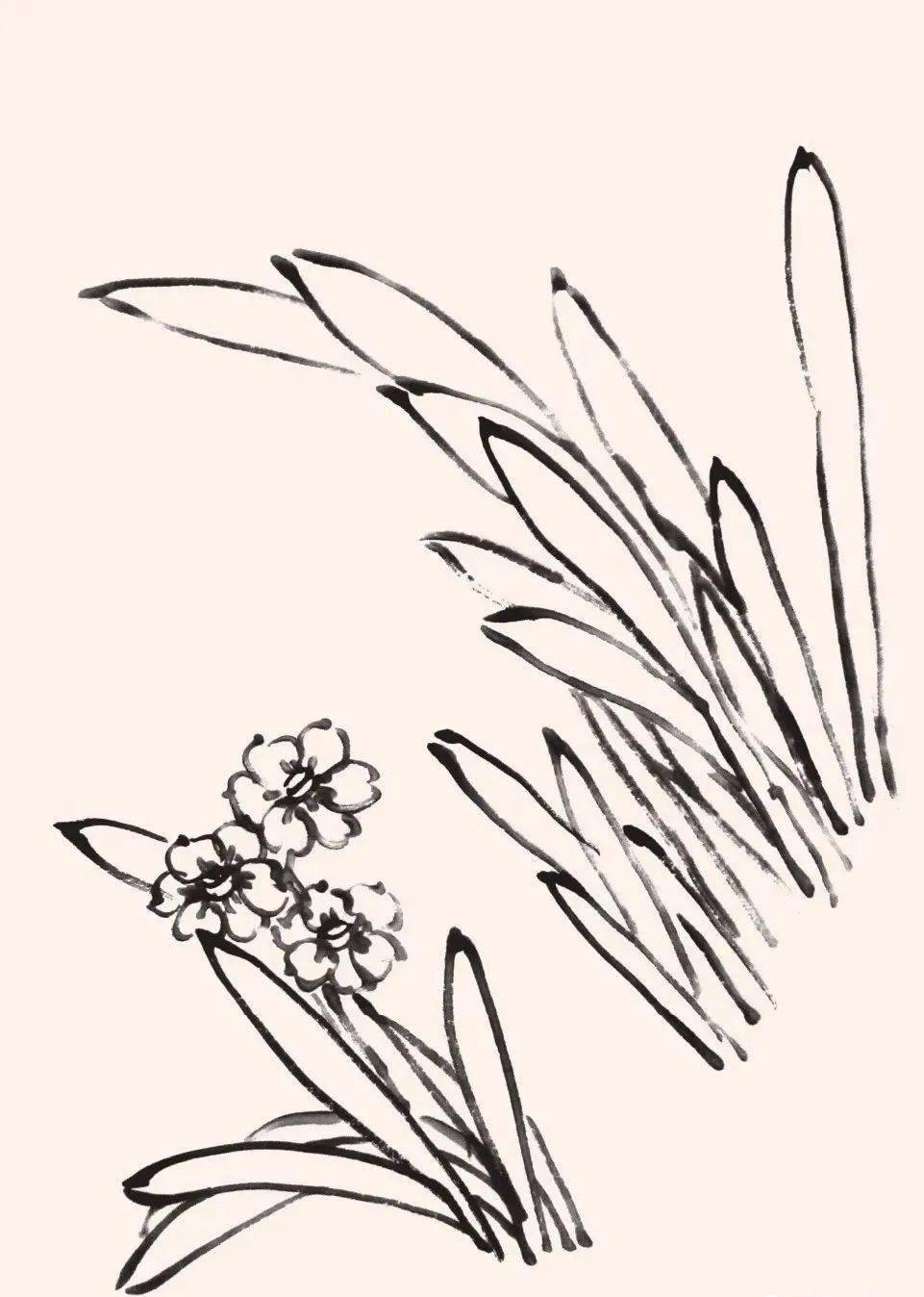 【国画教程】老年人的最爱,轻松学画写意水仙花
