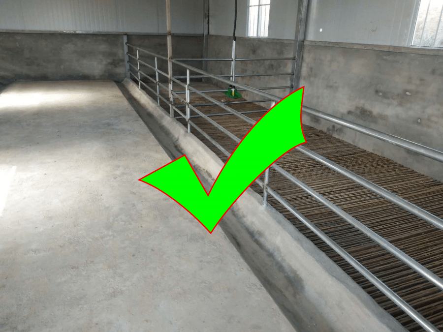 标准羊棚补饲栏不达标羊棚补饲栏标准羊棚饮水设备不达标羊棚饮水设备