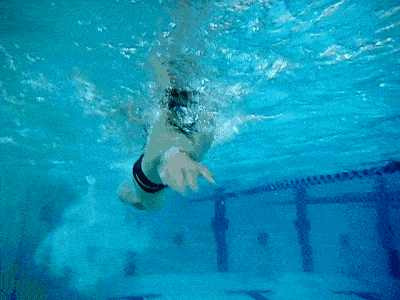 自由泳怎么练习高肘抱水 7851a55e569c47cb983a2a5887c94a94.gif