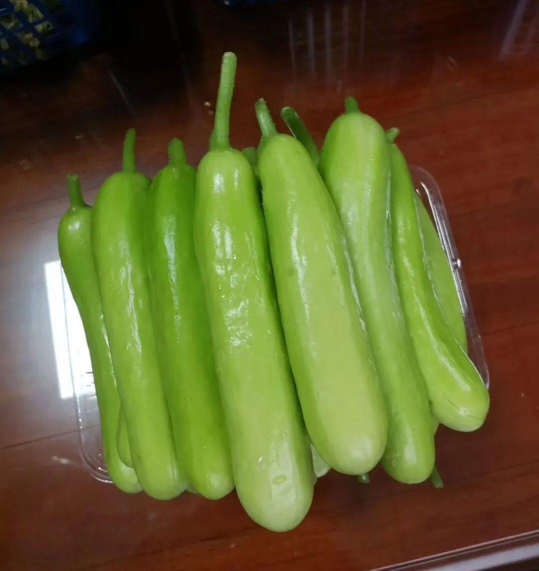 太空黄瓜种子的发芽,结果时间比一般的黄瓜种子要早七,八天,结出的