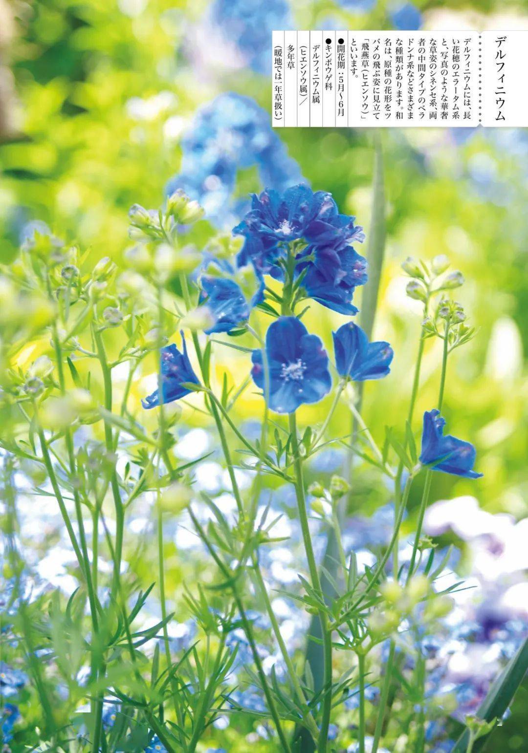 提升衣品没你想的那么难 时尚 中华资讯在线