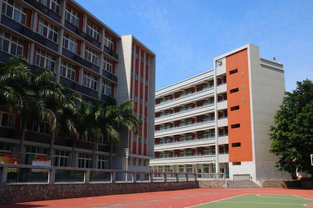 质优初中优质的你泉州科技中学小升初第二批报名即将开始速点