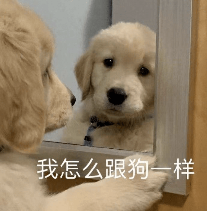 另外,由于凸嘴的表情管理大部分需要唇周肌肉发力,所以开前时记得做个