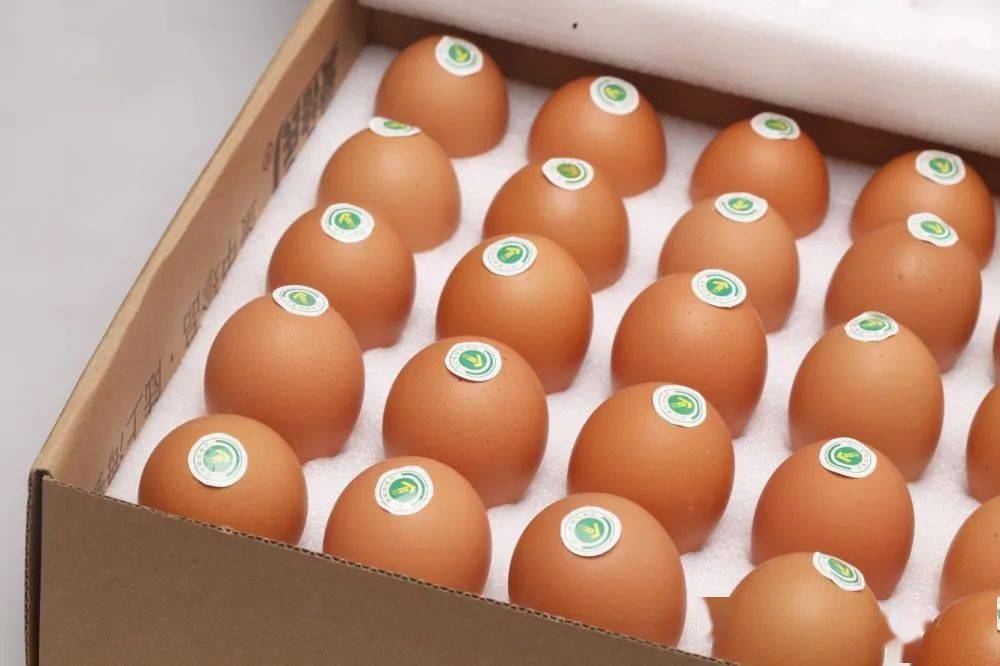 父亲节 | 送老爸安全健康的小球藻鸡蛋