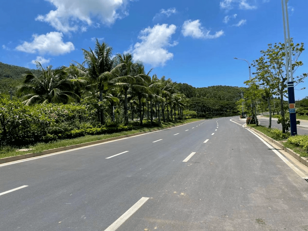 文黎大道延伸线和南湾路项目道路命名由你来定