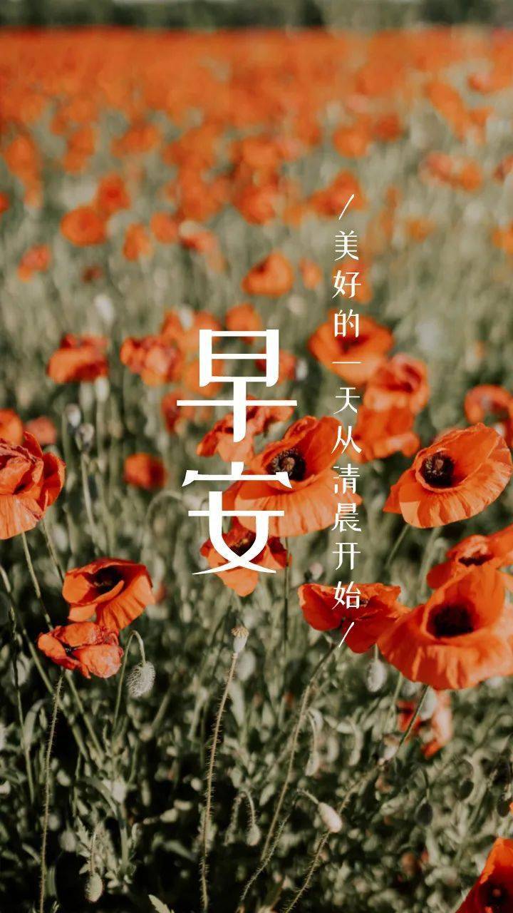 早安句子正能量图片晚安语录