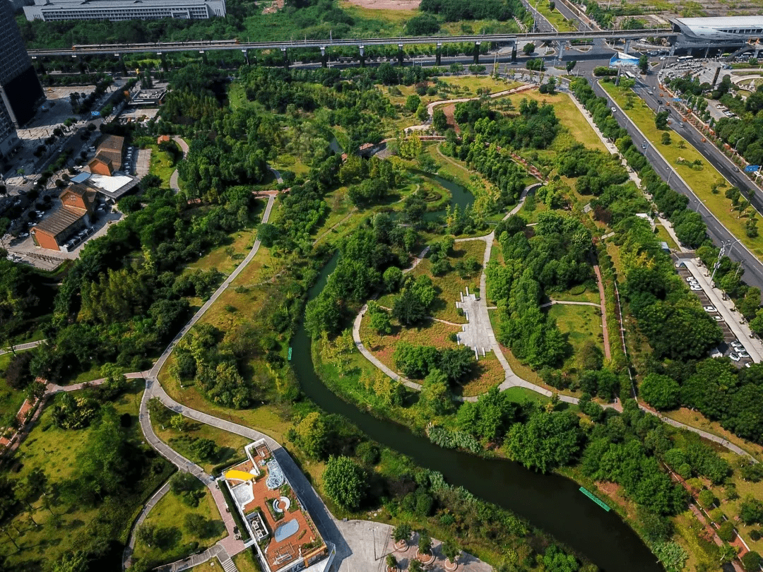 重庆大学城湿地公园图片