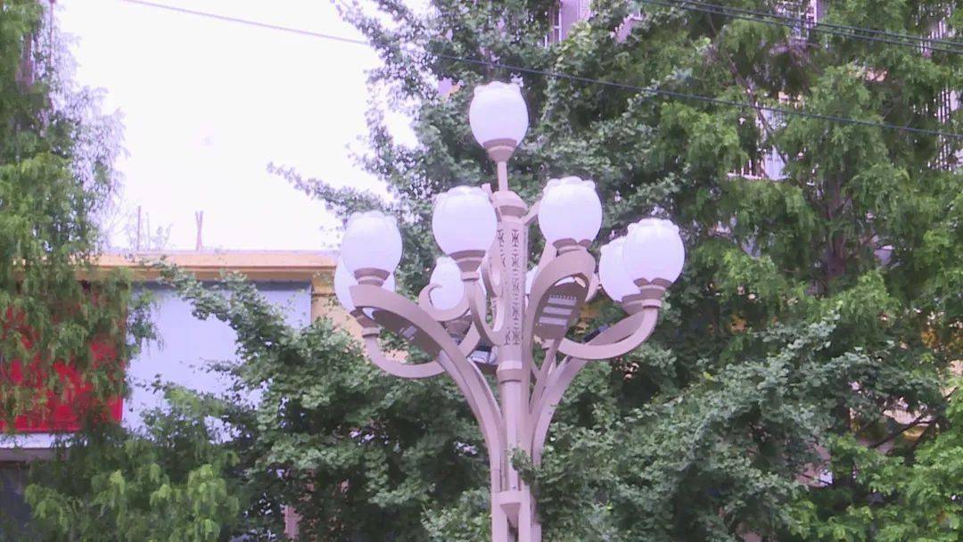 南部这几条路的路灯正在换新颜预计6月底全面完工