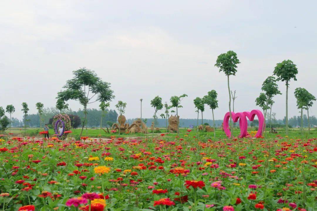 汝南梁祝公园刚拍的!漂亮吗?