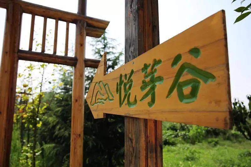 盘点农庄最受欢迎的18个低成本体验项目开云体育 开云官网！(图2)