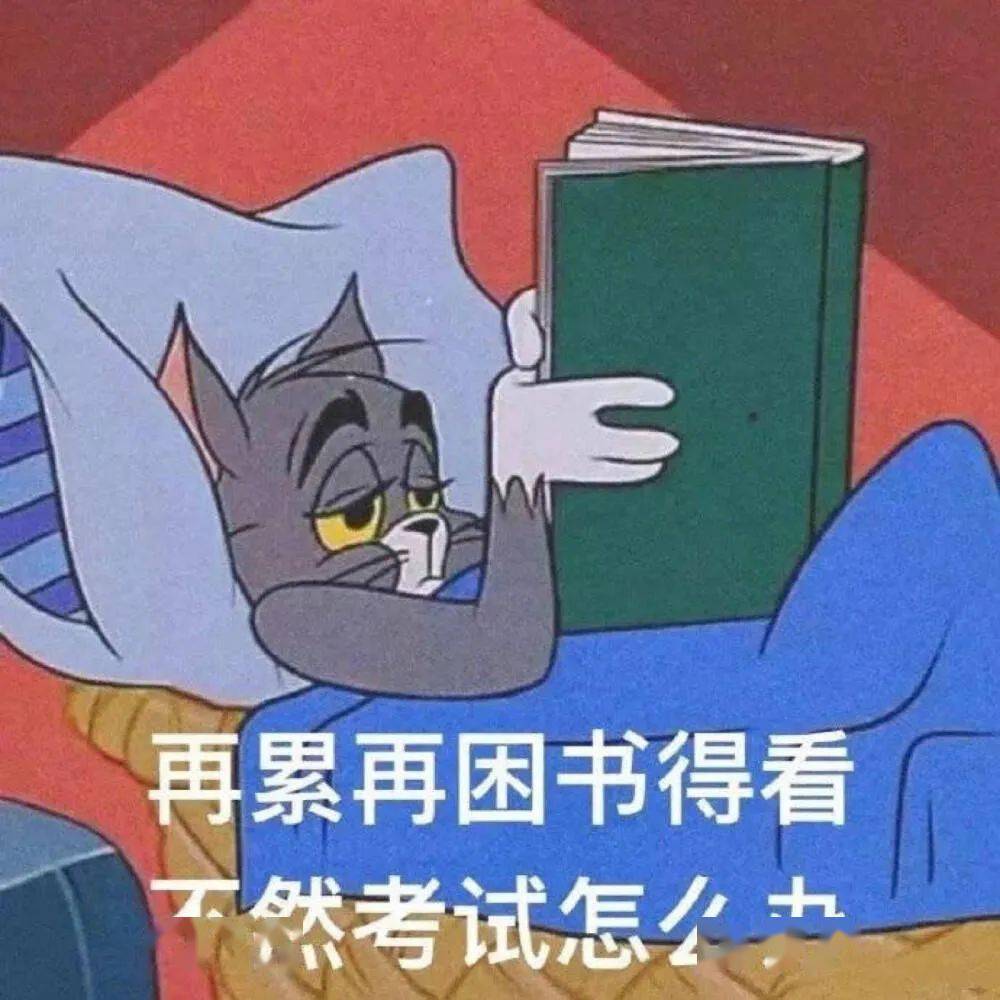 d357a3b783a64e148e11fe51127cd95a.jpeg