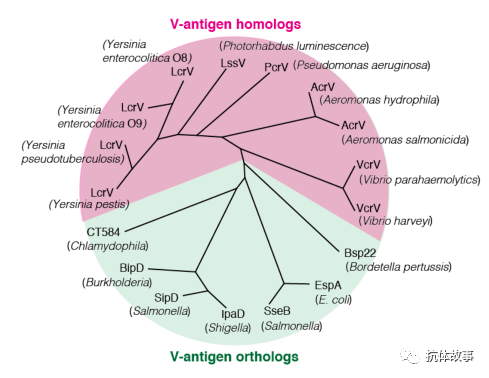 d742691e2dcc4b109522031f21440de5.png